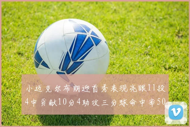 小迈克尔布朗迎首秀表现亮眼11投4中贡献10分4助攻三分球命中率50