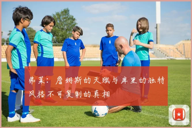 弗莱:詹姆斯的天赋与库里的独特风格不可复制的真相