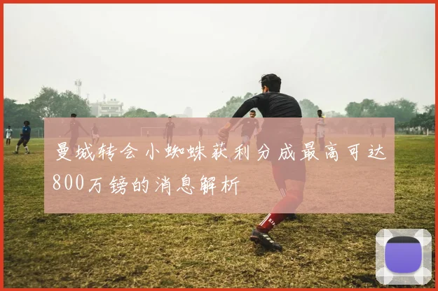 曼城转会小蜘蛛获利分成最高可达800万镑的消息解析