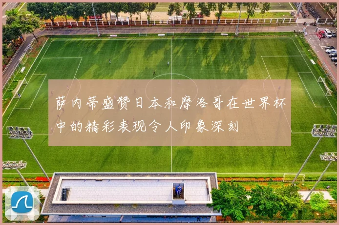 萨内蒂盛赞日本和摩洛哥在世界杯中的精彩表现令人印象深刻
